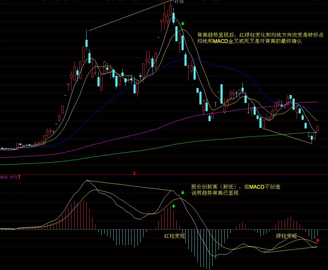 大客户新品销售反馈乐观,思摩尔国际(06969)如何撬动全球HNB市场新机遇?